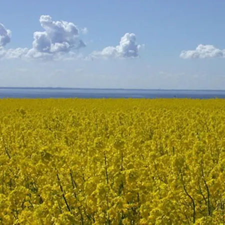 Romantik Kaufmannshof Отель Берген-ауф-Рюген